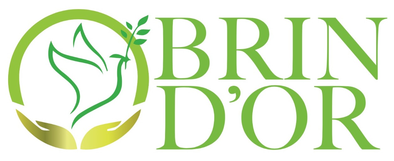 Logo ONG BRIN D'OR